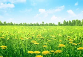 只有吃，才能让我冷静