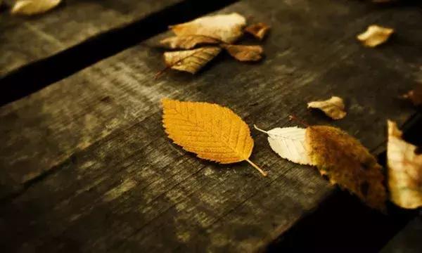 微信下雨天短语