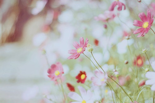 最走心的一句话