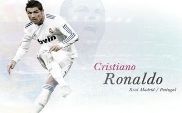 体育部个人工作总结2023参考6篇