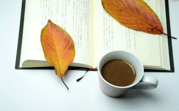 给幼儿教师的建议读书心得体会8篇