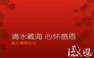 .感恩演讲稿优秀8篇