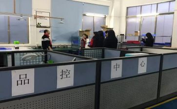 2023品控个人工作总结7篇