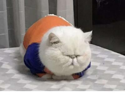 努力向前冲的励志图片 向前看的励志句子