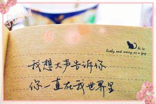 一句话爱情感言 爱情最感人的一句话