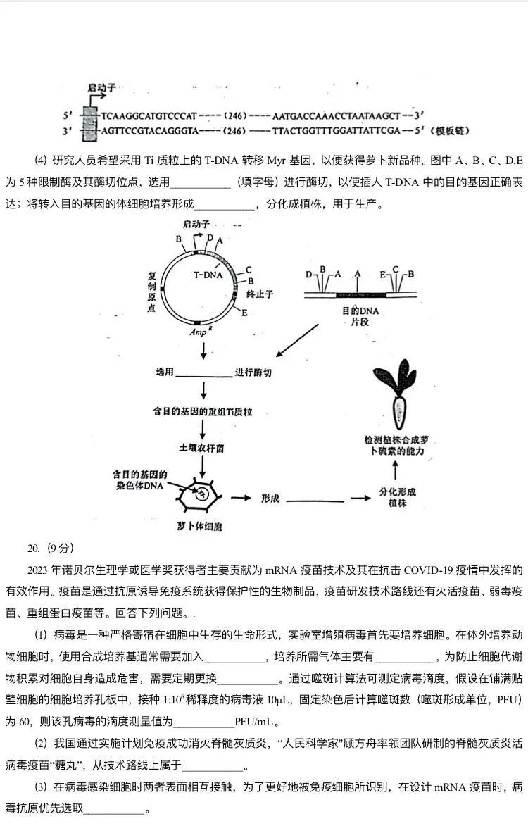 安徽省2024新高考适应性测试(九省联考)生物试卷答案