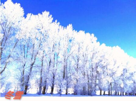 雪是冬天最美的景