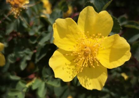 风是梦起的地方