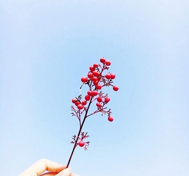 充满正能量的阳光早安说说，选一句送给自己！