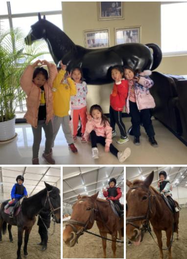 马术文案励志视频_励志文案视频