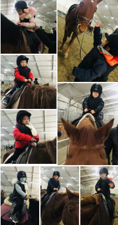 马术文案励志视频_励志文案视频