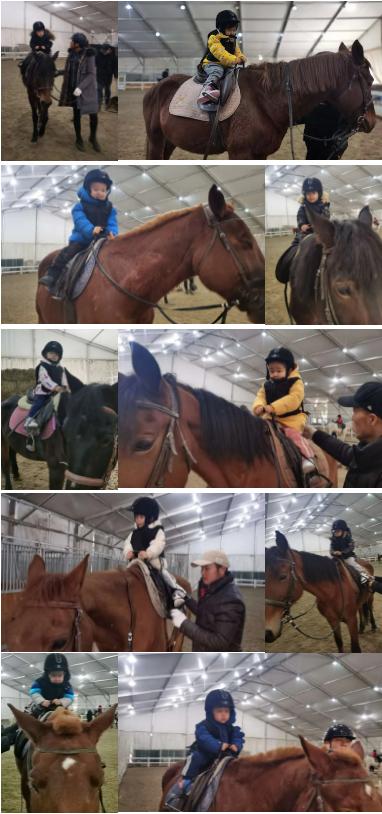 马术文案励志视频_励志文案视频