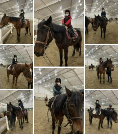 马术文案励志视频_励志文案视频