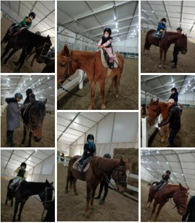 马术文案励志视频_励志文案视频