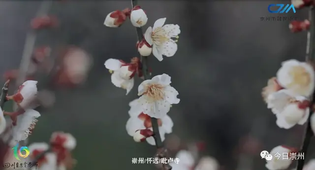 崇州景点文案励志(奋斗励志文案)