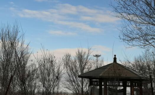 无人倾听的诉说