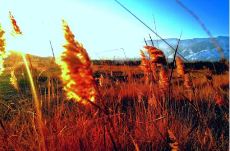 不要随意去评说别人