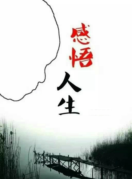 经典句子感悟人生
