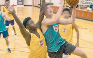 高中学生素质报告评语