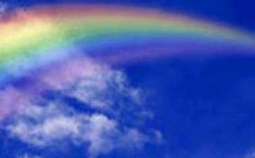 不经历风雨,怎么见彩虹励志故事