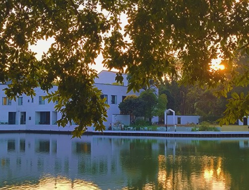 早八暖心的早上好短句100句