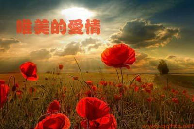 关于爱情的句子唯美