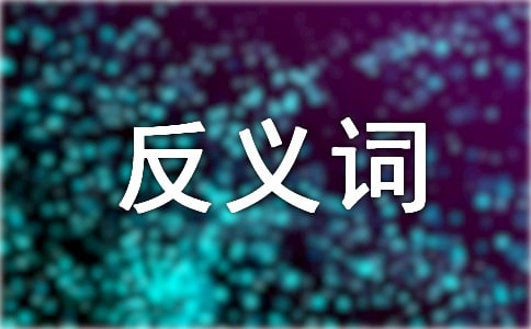 紫的反义词是什么