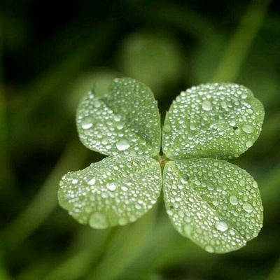 适合做微信头像的照片