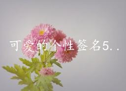 可爱的个性签名50句