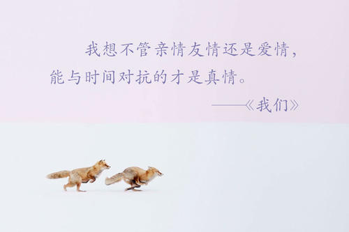 评论亲情的经典语录 关于亲情的经典语句