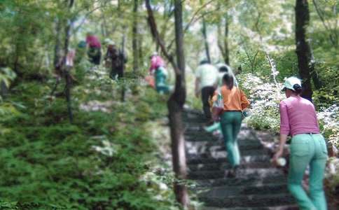 爬山的日记模板9篇