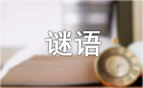 适合四五岁儿童的谜语大全
