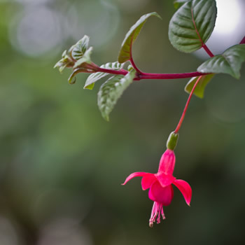 适合做微信头像的照片