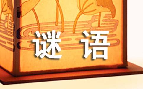 关于简单儿童谜语大全及答案
