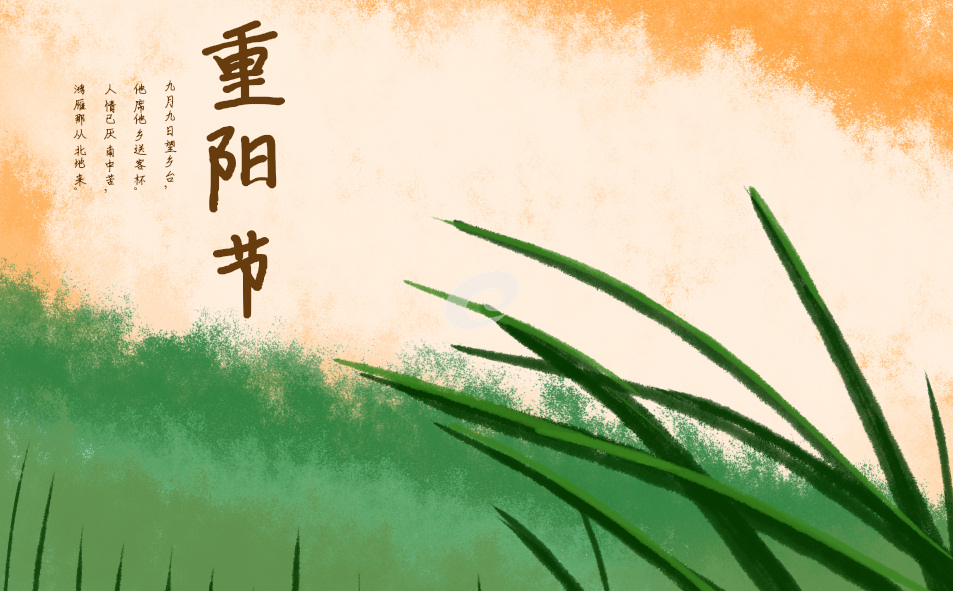 重阳节总结怎么写