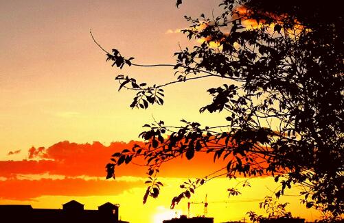 落日余晖霞满天