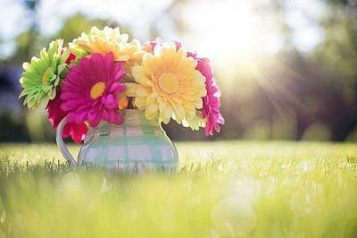 要怎样才能让自己放弃，要怎样才能让自己微笑