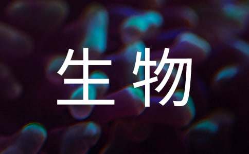 初中生物教案