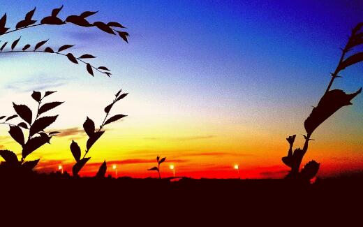 防疫是面照妖镜