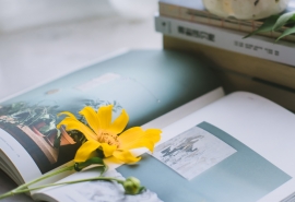 早点睡，能解决80%以上的人生难题！