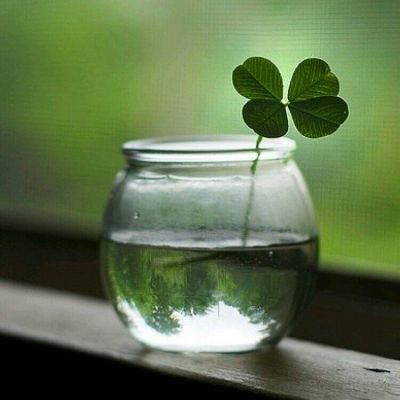 适合做微信头像的照片