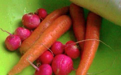 心理健康节活动方案15篇