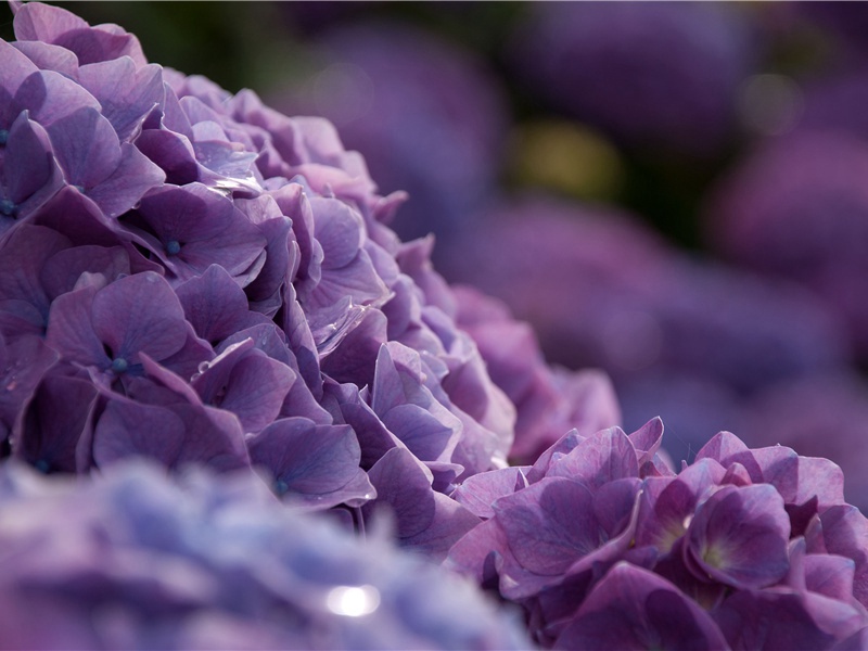 新的一天开始精美语句(40句)