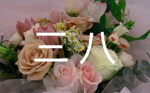 [推荐]三八红旗手事迹材料优秀