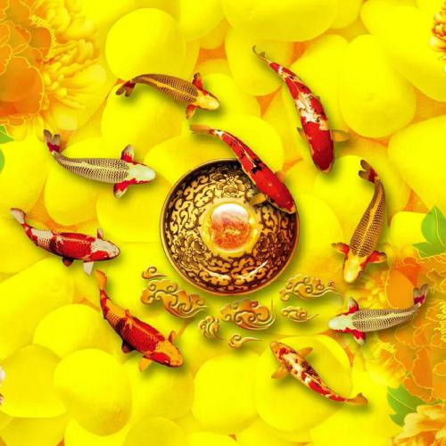 适合长期不换的头像，20张微信头像，各种风格，不重样