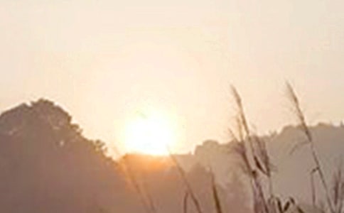 经典个性早安说说50句精选