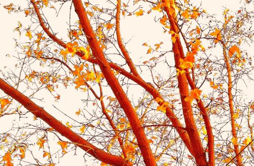 人应该有点野心