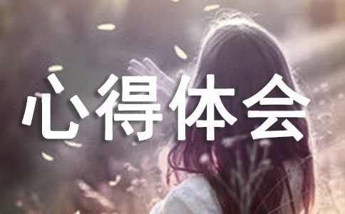 2017自我总结与心得体会