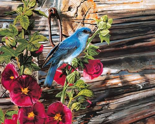 党员民主生活会发言稿范文5篇