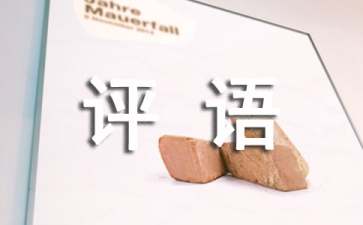 关于作文的评语